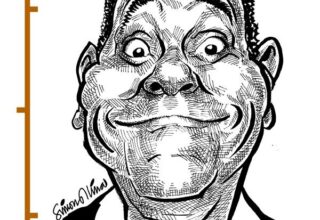 Caricature Illustrations