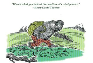 Cartoon Illustrations for Books Cartoon Illustrations for Books
